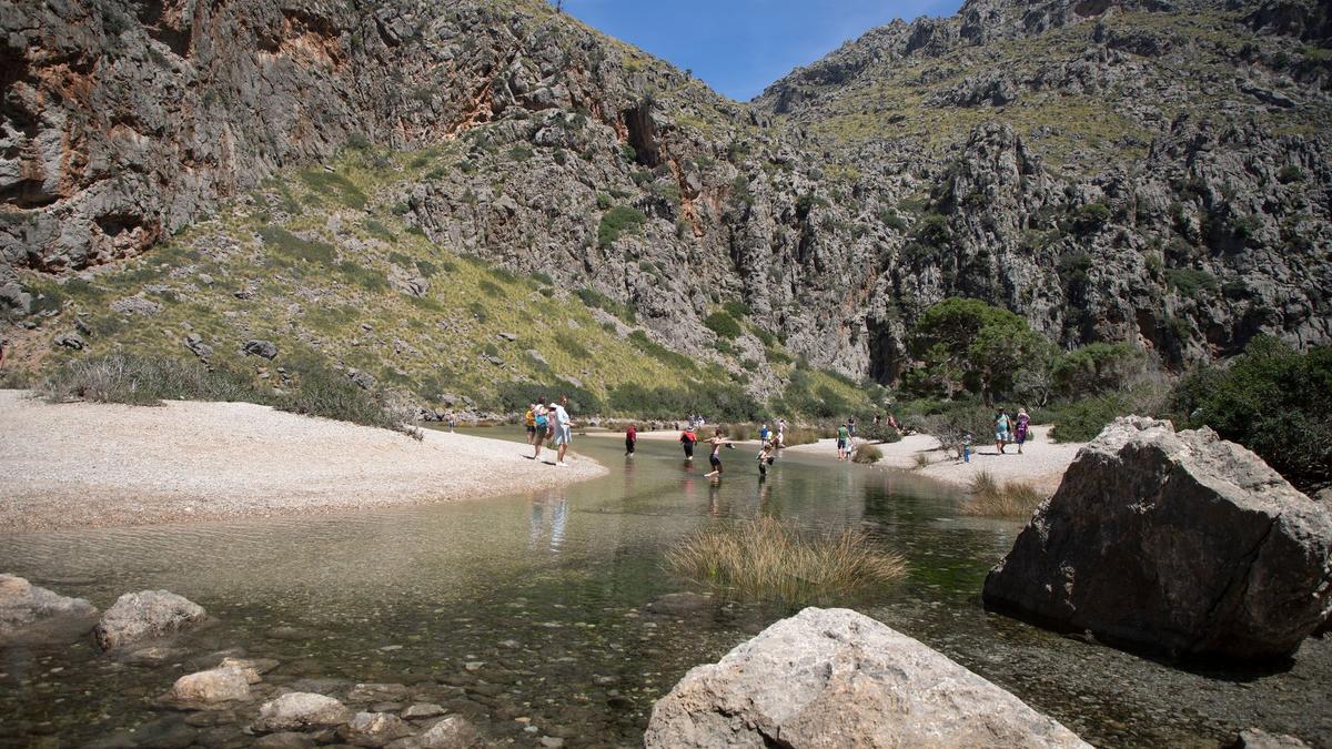 Vermisster Brite auf Mallorca tot aufgefunden Aachener Zeitung